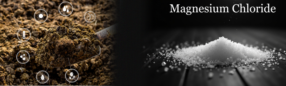 Magnesium Chloride Flakes and Powder